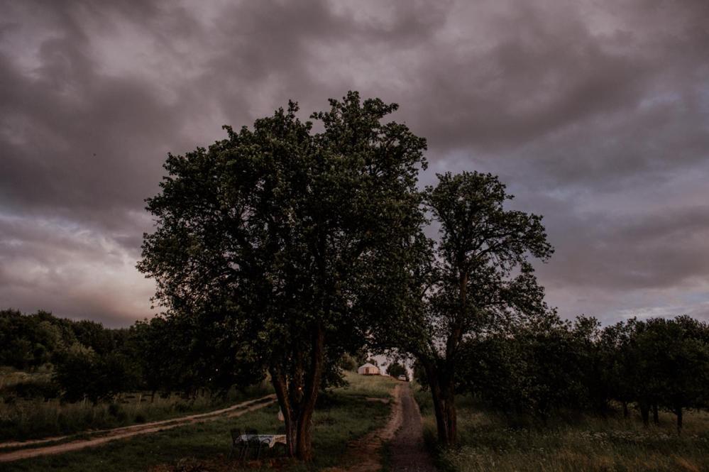 Luxuszelt Jurty Z Widokiem, Prywatna Balia- Dzikolas Glamping Krasnobród