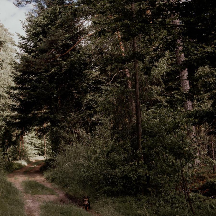 Jurty Z Widokiem, Prywatna Balia- Dzikolas Glamping * Krasnobród